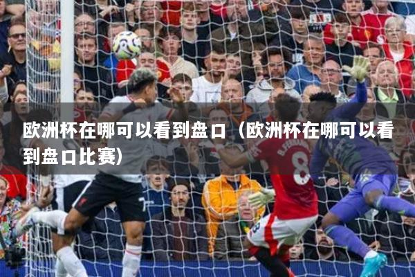 欧洲杯在哪可以看到盘口（欧洲杯在哪可以看到盘口比赛）