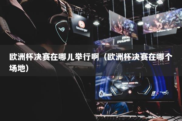 欧洲杯决赛在哪儿举行啊（欧洲杯决赛在哪个场地）