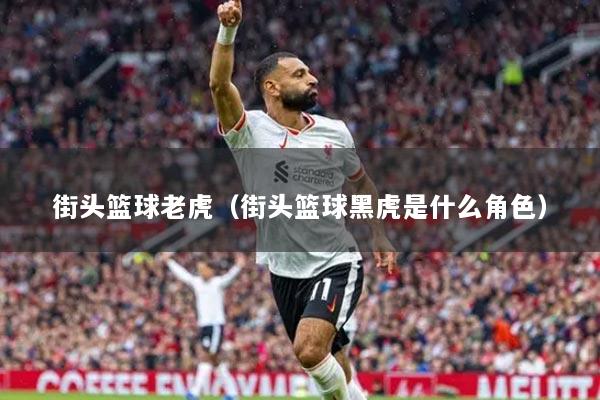 街头篮球老虎（街头篮球黑虎是什么角色）