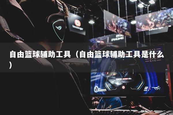 自由篮球辅助工具（自由篮球辅助工具是什么）