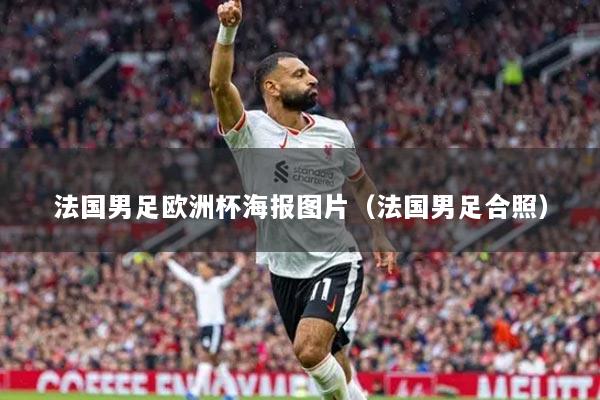 法国男足欧洲杯海报图片（法国男足合照）