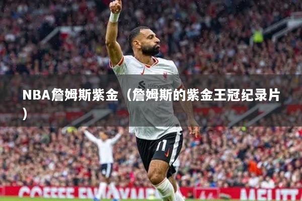 NBA詹姆斯紫金(詹姆斯的紫金王冠纪录片)