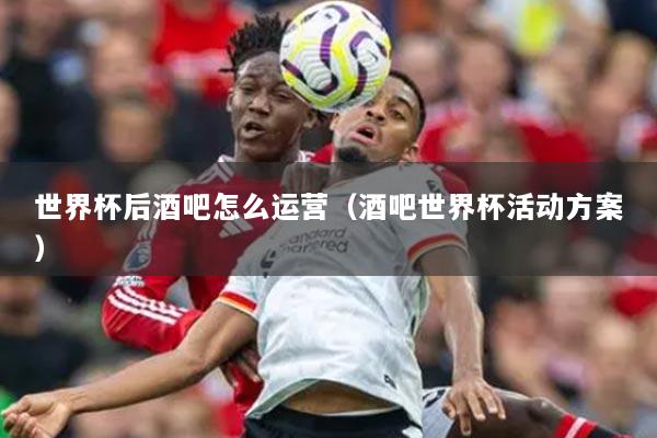 世界杯后酒吧怎么运营（酒吧世界杯活动方案）