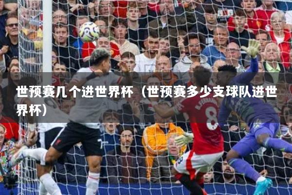 世预赛几个进世界杯（世预赛多少支球队进世界杯）