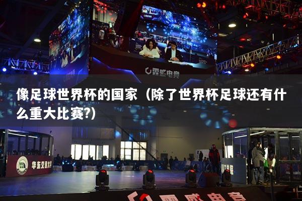像足球世界杯的国家（除了世界杯足球还有什么重大比赛?）