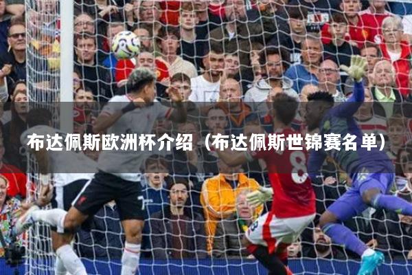 布达佩斯欧洲杯介绍（布达佩斯世锦赛名单）